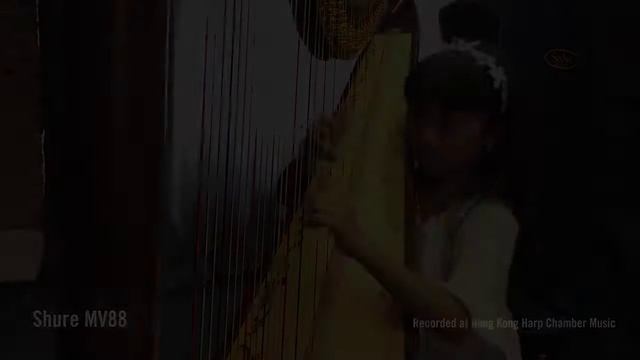 Using Shure MV88 to record Harp, compare with iPhone 6 built in mic смотреть онлайн