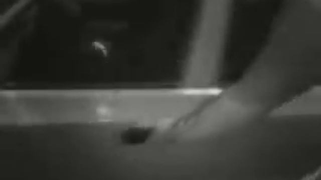 Car Thieves - Гран-при Red Apple - 2008 смотреть онлайн