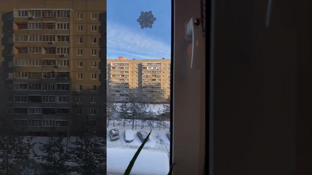 Двухкомнатная квартира, г. Москва, мкр. Родники, д.1 смотреть онлайн