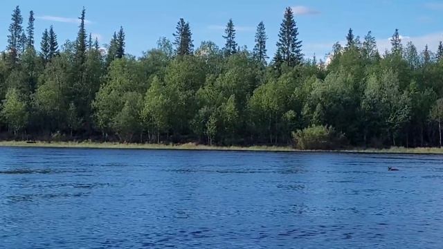 RELAX MUSIC FS Красивая Расслабляющая Музыка с Потрясающей Природой в 4K смотреть онлайн