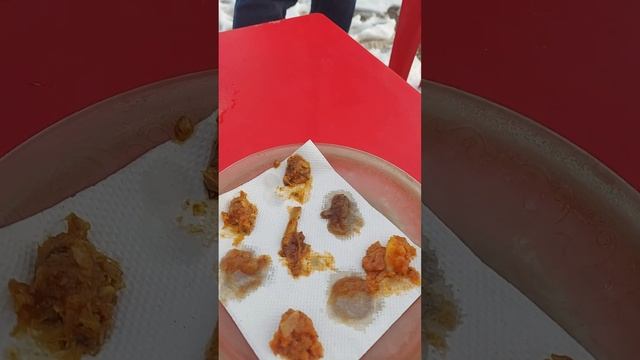 Original apple pickle in Kashmir apple garden..#youtube #minivlog #viral #apple #subcribe #viral смотреть онлайн