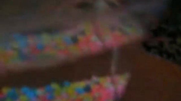 puffer the pufferfish