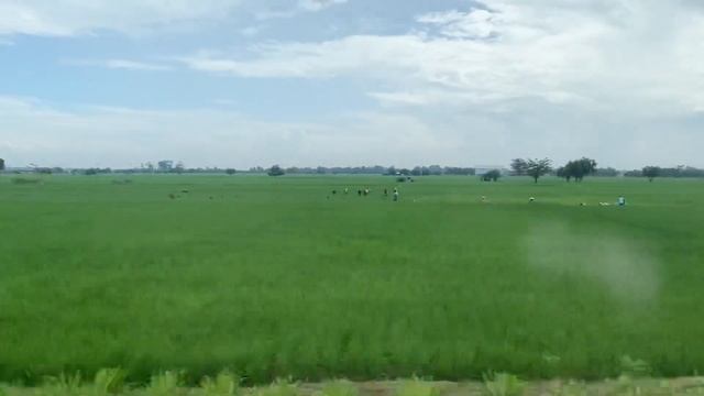 JAKARTA SURABAYA KERETA EKSEKUTIF ARGO BROMO ANGGREK 2022 | 8 JAM MAH GAK BERASA KALAU GINI!! смотреть онлайн