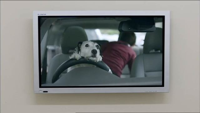 Главное - правильная рекламная акция смотреть онлайн