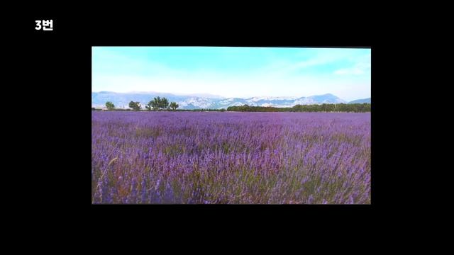 iPhoneXR 디스플레이 비교 리뷰 - Note9, V40, iPhone XS MAX) [4k] смотреть онлайн