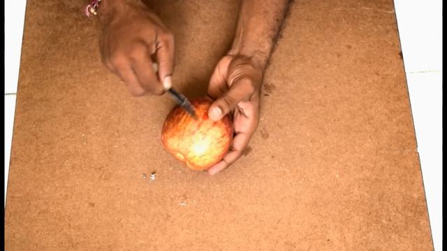 You Never Eat Apples After Watching This Video | WAX COATED APPLES WARNING!!! смотреть онлайн