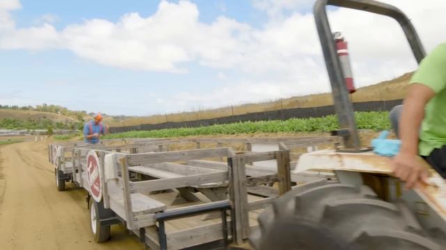 Blippi Learns Healthy Eating For Kids At Tanaka Farm | Educational Videos For Toddlers