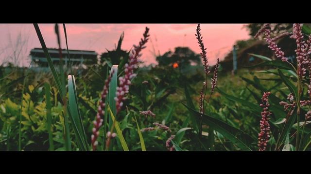 iphone 13 pro Cinematic 4k camera test смотреть онлайн