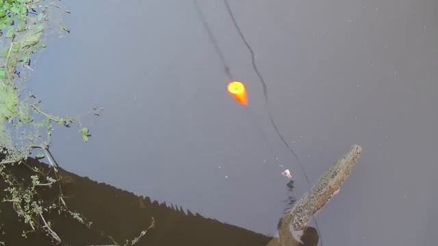 CATFISH LINES. Louisiana. Catching Them Off The Bridge. смотреть онлайн