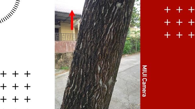 Install Gcam/Google Camera di Redmi 9A, Hasilnya Mantap! смотреть онлайн