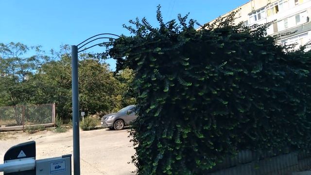 #Анапа Первый день в Детском саду Что делаю в Полиции? ЖК Триумф смотреть онлайн