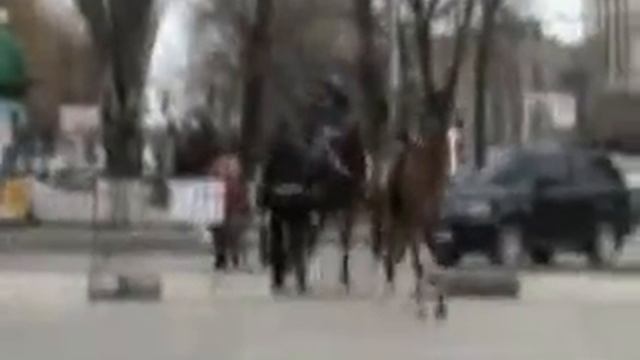 Обувь для лошадей. Система "Пегас" смотреть онлайн