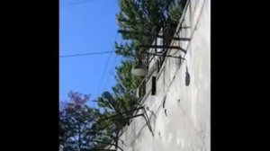 Сергей Наговицын   Там по периметру горят фонари