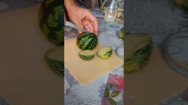 Арбузы 🍉 на грядке.