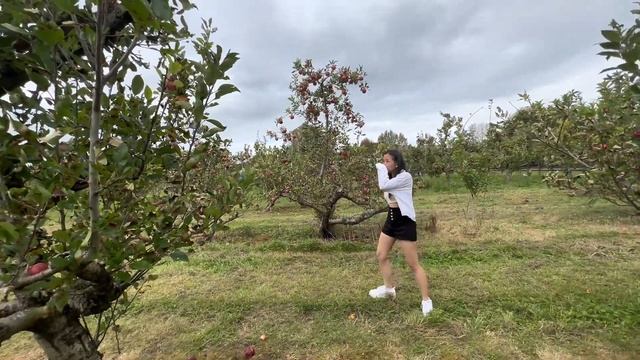 Apple Picking 2023 | Windmill Orchards NZ | Alexa Cayetano смотреть онлайн