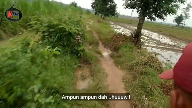 NASIP SI BISU . Exstrim Lucu The Series | Funny Videos 2022 | Kemekel Tv смотреть онлайн