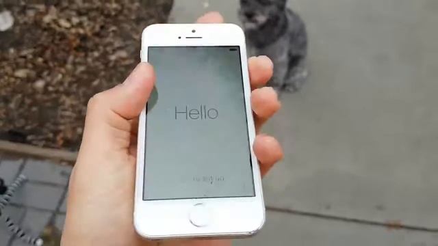 Apple IPhone SE Drop Test