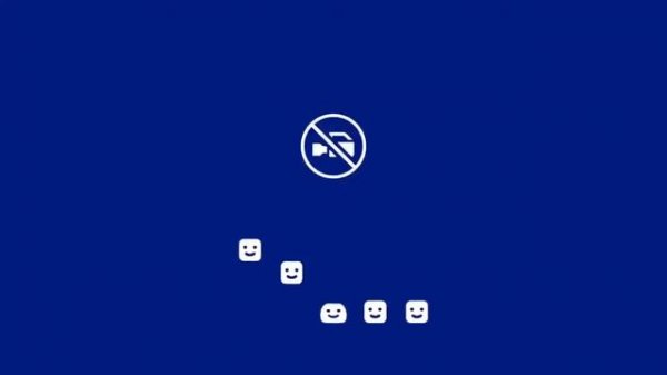 Matthew daisy destruction