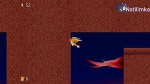 Tails' Nightmare 1 ~ Sonic Fan Games Gameplay