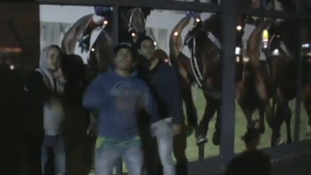 Da Kause Bred to win "Black caviar song" смотреть онлайн