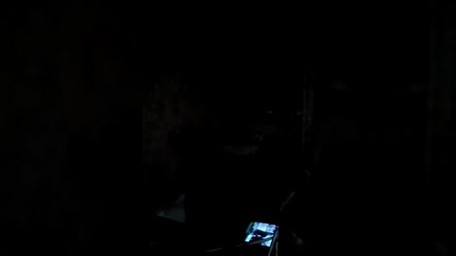 Сабака трахает даню смотреть онлайн