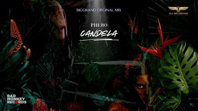 PHEBO - CANDELA (Original Mix BigGrand) #phebo #candelas #clubmix #djbiggrand #techhouse #turkey смотреть онлайн