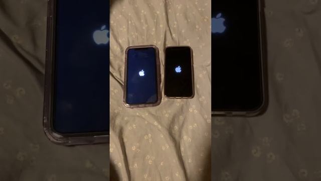 iPhone XR vs iPhone 12 mini Boot Up Test смотреть онлайн