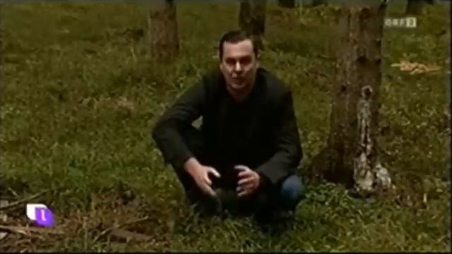 Cold Case Serie by Stefan Gessl смотреть онлайн