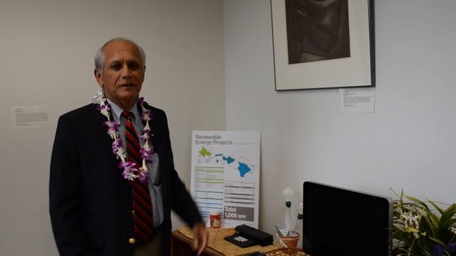 Art at the Capitol 2013: What's on Your Wall, Senator Mike Gabbard? смотреть онлайн