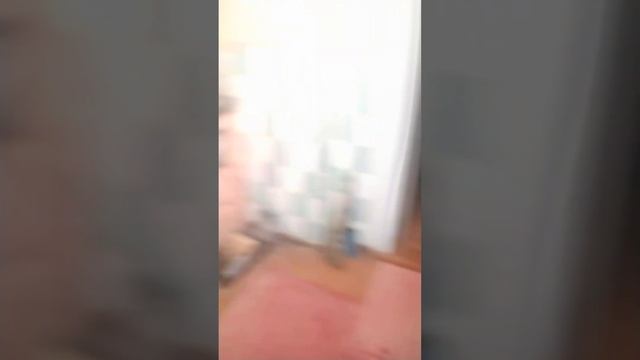 Сало сила смотреть онлайн