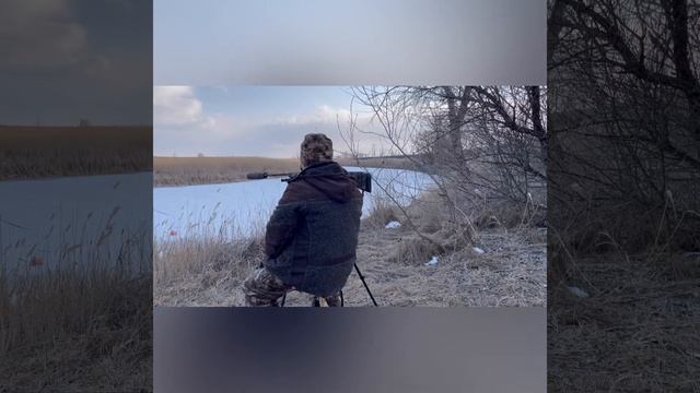 Охота на шакала ночью в марте.Тестирование на охоте манка. смотреть онлайн