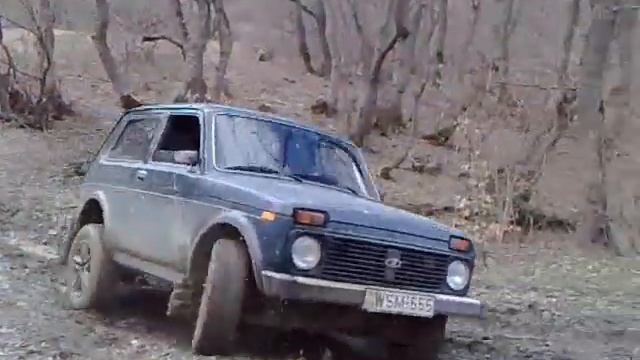 niva смотреть онлайн
