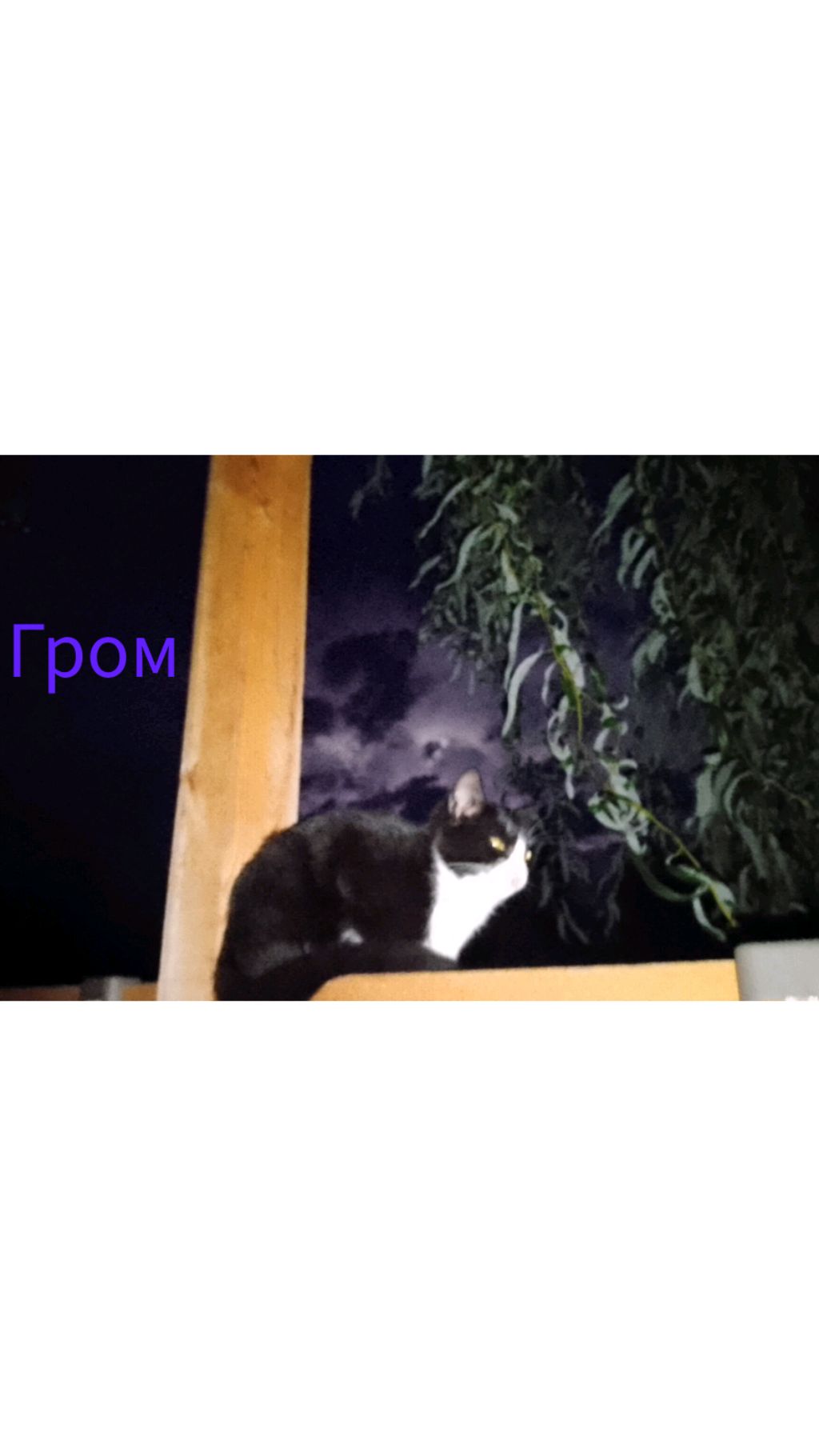 боничка смотреть онлайн