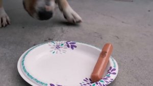 Annoying Orange - Food Horror Supercut!!!