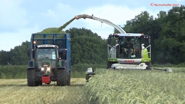 Silage 2022 - Wholecrop Rye for Silage with Claas Jaguar 950, Fendt's, Valtra & John Deere смотреть онлайн