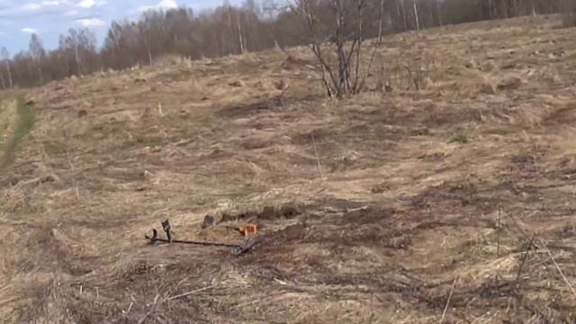 Ищем господский дом, там ещё есть находки. смотреть онлайн