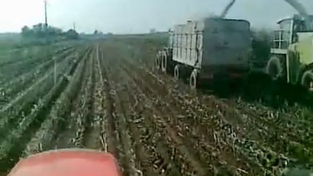 Trinciato 2009 смотреть онлайн