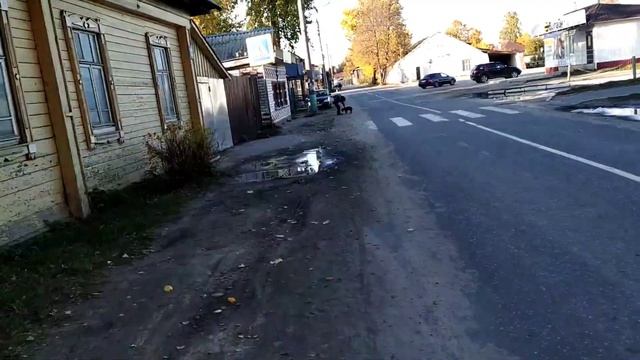 Купила килограмм маслят на рынке// Всё небо в полоску-это что? Ночное приключение. смотреть онлайн