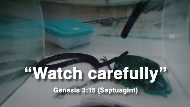 When did the Serpent Become SATAN? [Genesis 3] смотреть онлайн