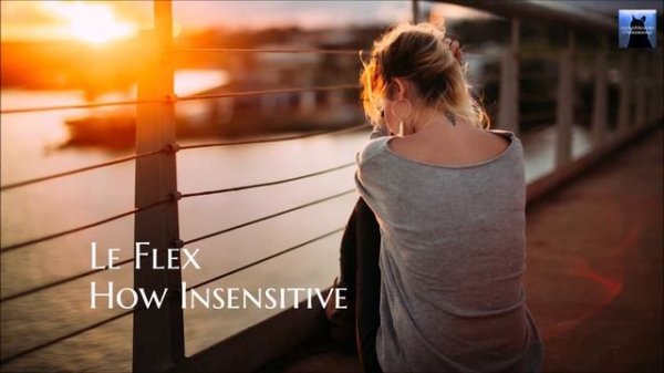 Le Flex  -  How Insensitive