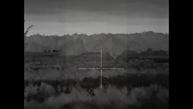 Охота без подготовки прошла успешно добыто два шакала смотреть онлайн