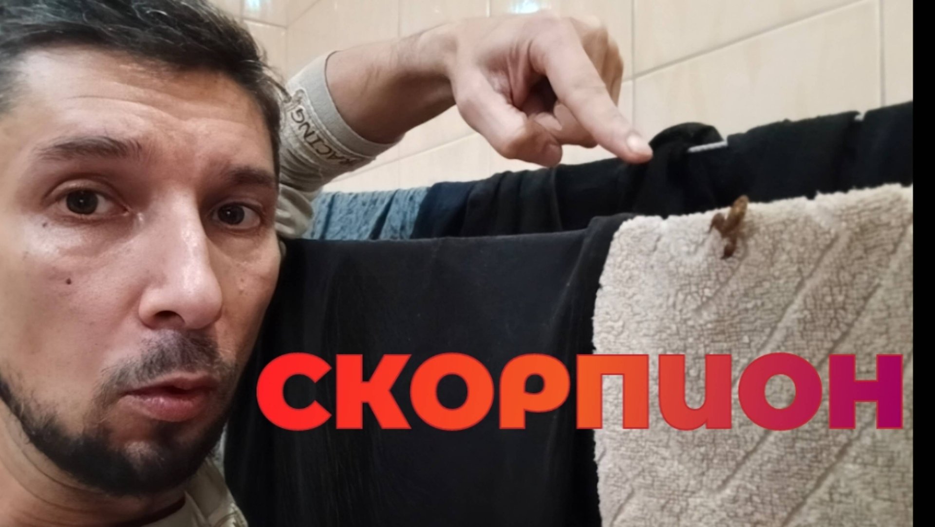 Что делать меня чуть не укусил скорпион🦂 Укус скорпиона чем опасен? Живые скорпионы залезли в дом! смотреть онлайн