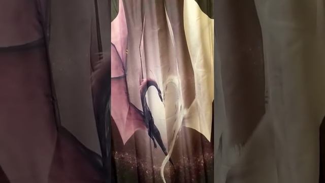AliExpress dragon shower curtain review смотреть онлайн