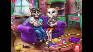 Кошка Анжела. Уход за малышами. Анжела тв