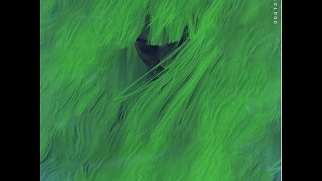 Martin j. Ballou & MadBliss - Sour Apple смотреть онлайн