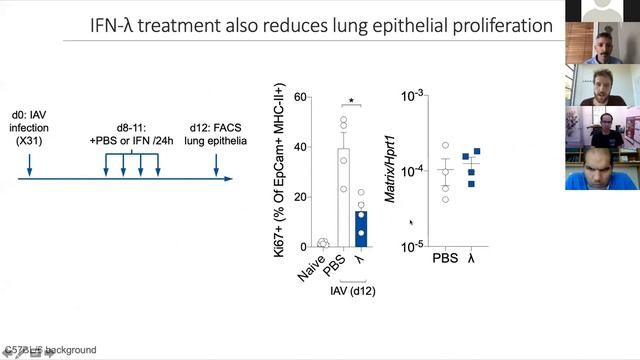 [Jack Major ] Type I and III interferons disrupt lung epithelial repair during recovery смотреть онлайн