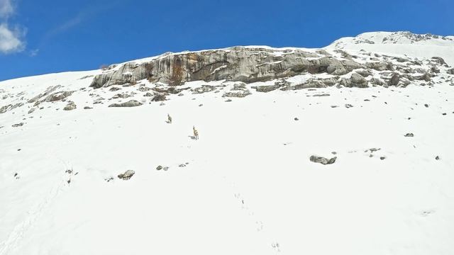 Один день в горах FPV смотреть онлайн