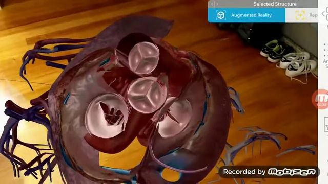 Human Anatomy Atlas 2018 смотреть онлайн