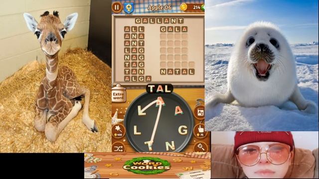 {Word Cookies} Celebrity chef - Apple level - Part 1 - Level 1 to 10 (celina mak official) смотреть онлайн