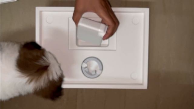 APPLE MACBOOK PRO M2 | BTK GAMING | #apple #macbook #macbookpro #macbookprom2 #macbookpro2022 #mac